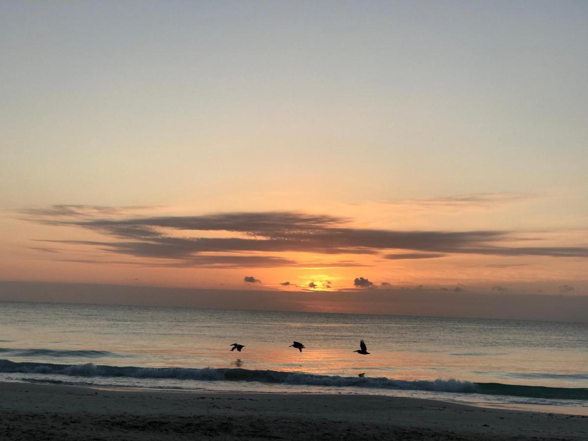 Chavez Eco Beach Camping And Cabanas Tulum Eksteriør bilde