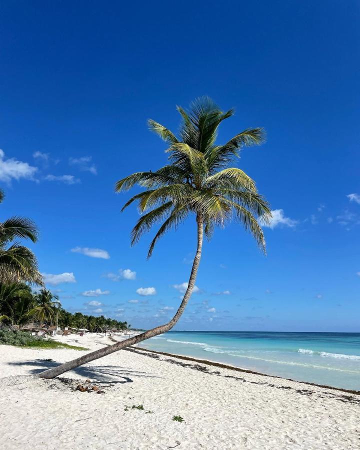 Chavez Eco Beach Camping And Cabanas Tulum Eksteriør bilde